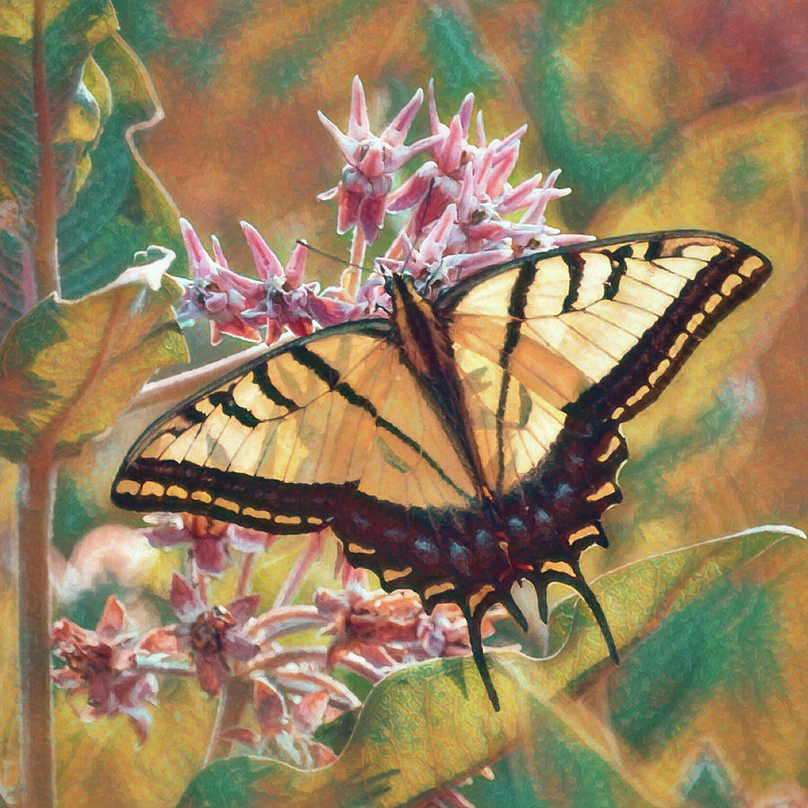 Tiger Swallowtail DA Digital Art by Ernest Echols
