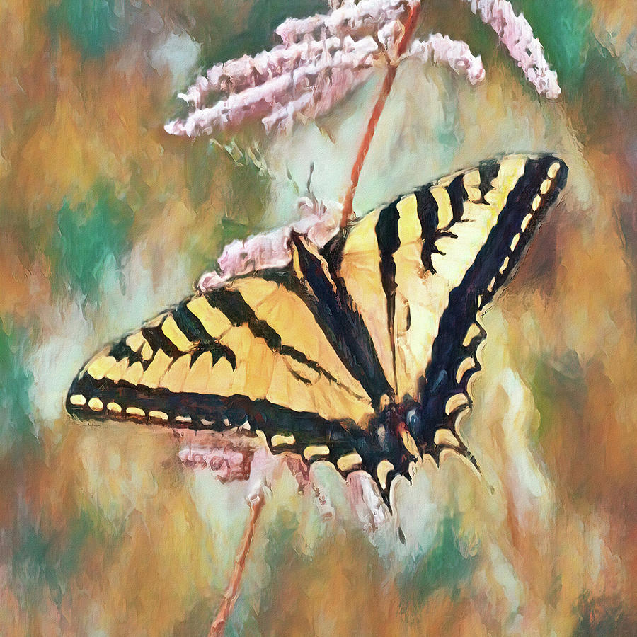 Tiger Swallowtail DA2 Digital Art by Ernest Echols