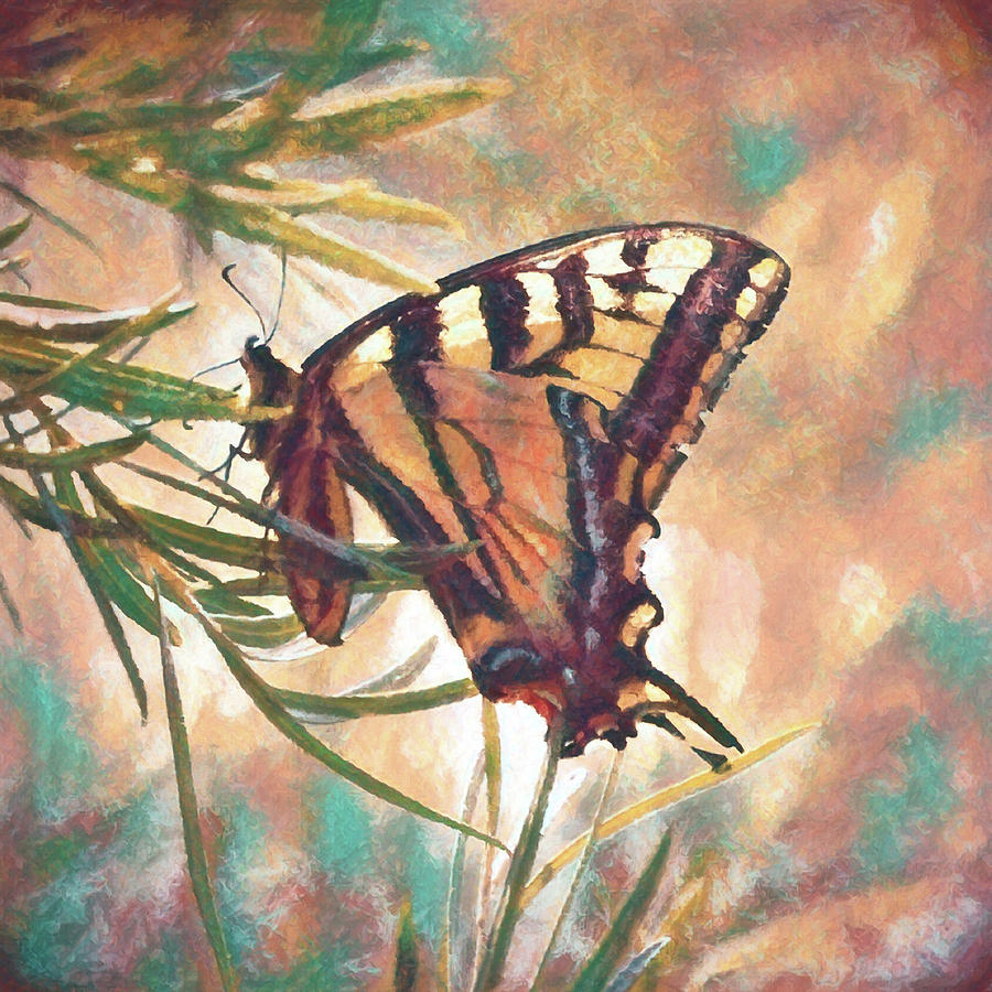 Tiger Swallowtail Painterly 2 Digital Art by Ernest Echols