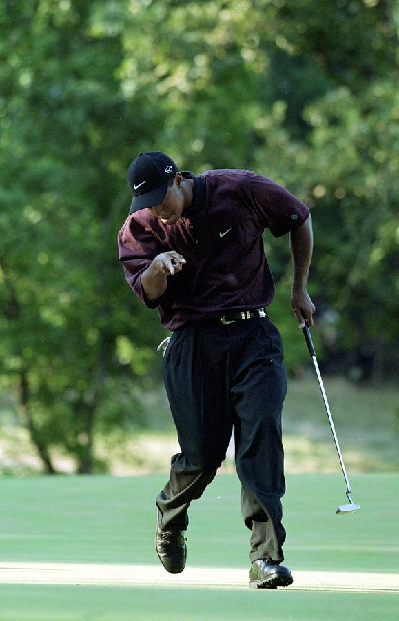 Tiger Woods Photograph by David Cannon