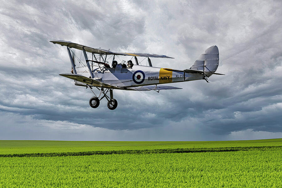Tigermoth Photograph by Chris Smith