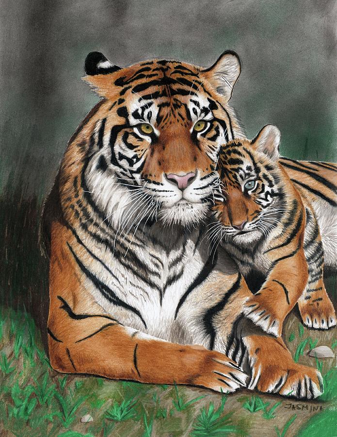 Tigress with a Tiger Cub Print of a Colored Pencil Drawing Drawing by