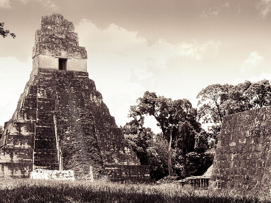 Tikal Abandoned Photograph by Mark Gomez