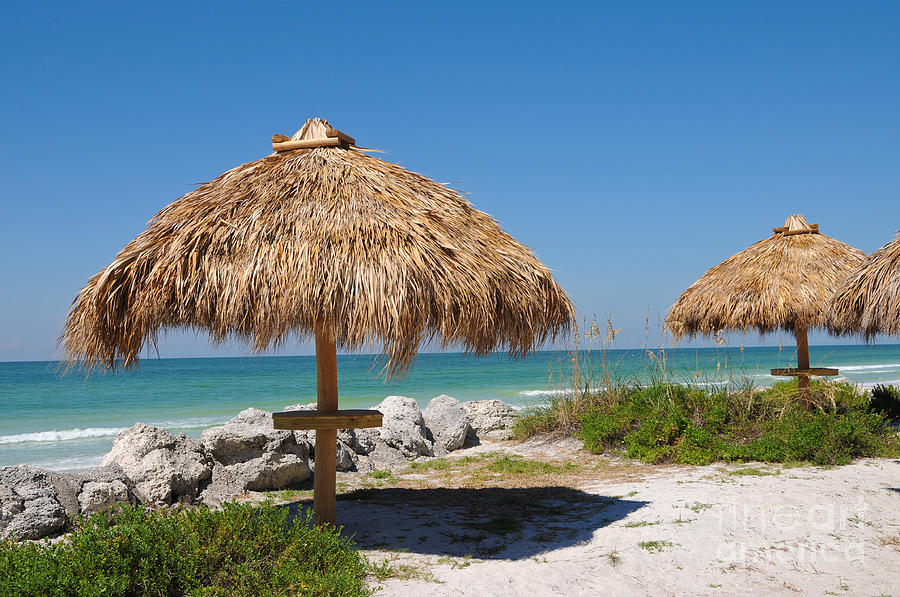 Tiki Hut on the Beach Photograph by Mark Winfrey