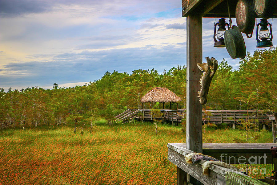 Tiki Hut View Photograph by Tom Claud