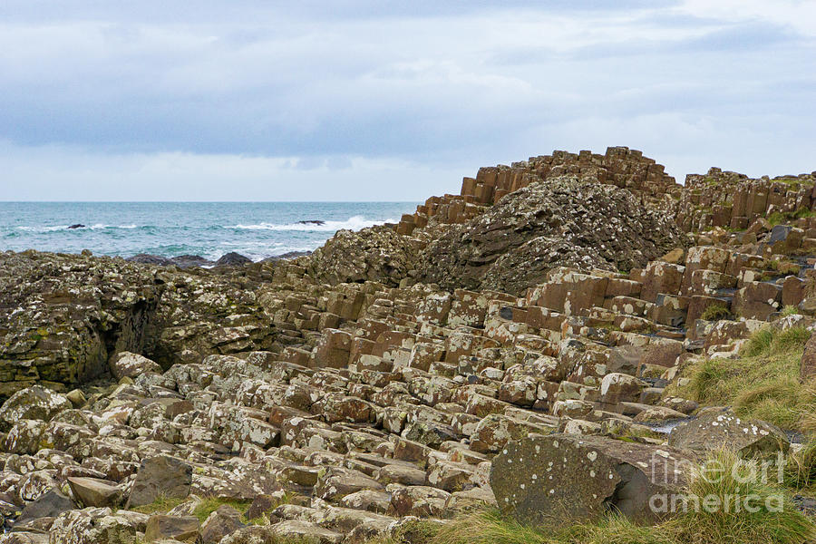 Tilted Hexagons at Giants Causeway Photograph by Nancy Gleason