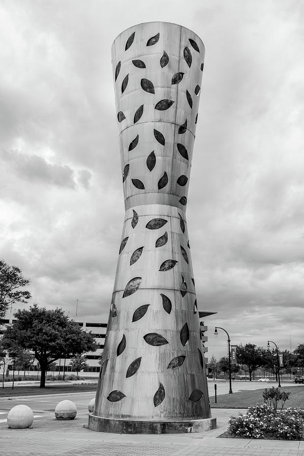 Tim Glovers Healing Nature University Of Houston Black And White Photograph By John McGraw