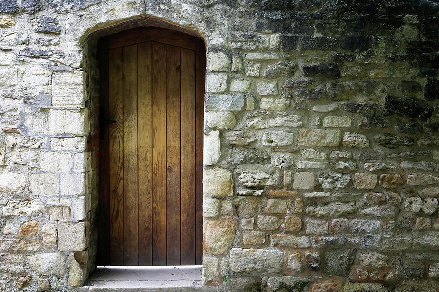 University Photograph - Timber Door by Nicholas Blackwell