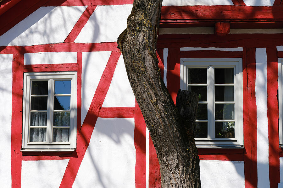Timber Frame and Tree Trunk - Sindelfingen Facade Detail Photograph by Matthias Hauser Timber Frame and Tree Trunk - Sindelfingen Facade Detail Photograph by Matthias Hauser