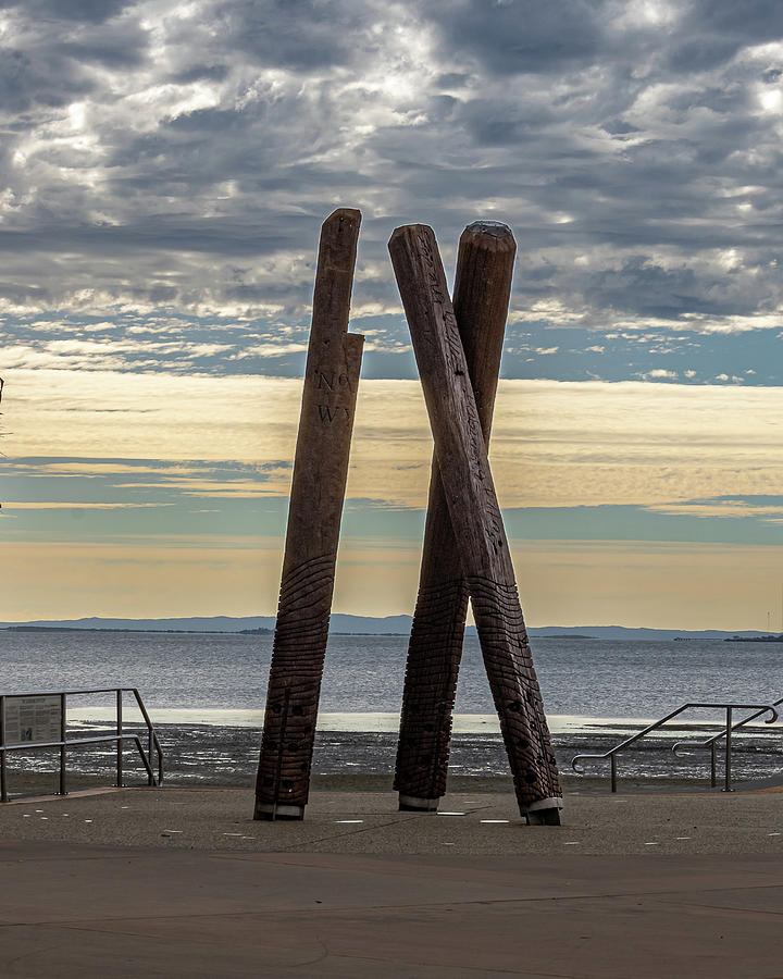 Timber Totem in Wynnum, Australia Photograph by Rick Nelson