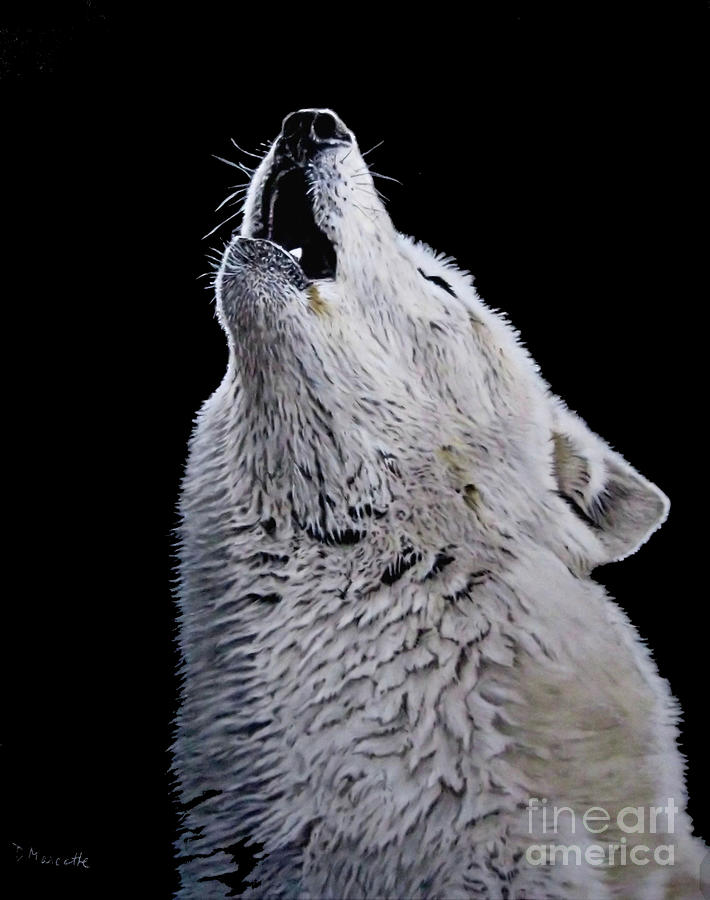 Wildlife Painting - Timber Wolf by Diane Marcotte