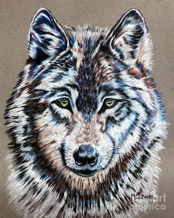 Timber Wolf Painting by Maria Barry