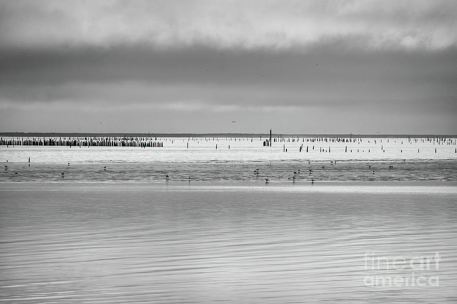 Time And The Tides 2019 Photograph By Michael Ziegler Fine Art America