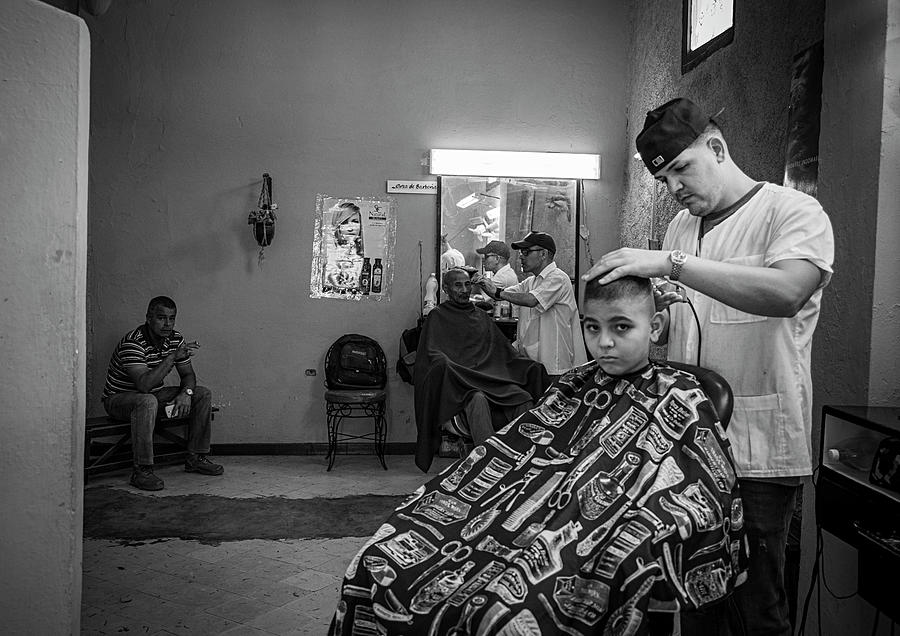 Time for a Trim Photograph by Paul Bartell