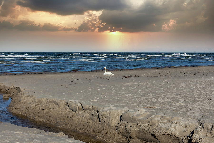 Time for Contemplation On Jurmala Beach Latvia  Photograph by Aleksandrs Drozdovs