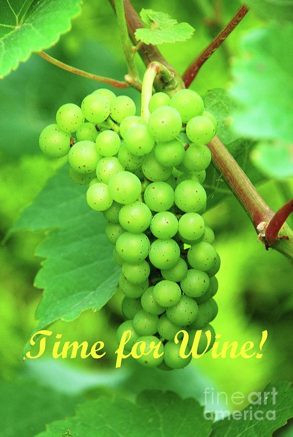 Time for Wine Photograph by David Fowler