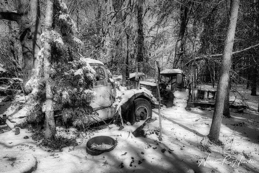 time-out-for-winter-photograph-by-harrison-hanville-fine-art-america