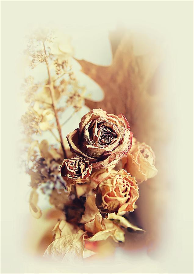 Rose Photograph - Time Passes... by Slawek Aniol