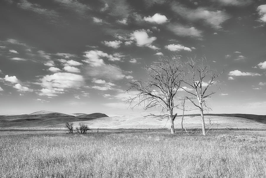 Time Passing on the Prairie Black and White Photograph by Allan Van Gasbeck
