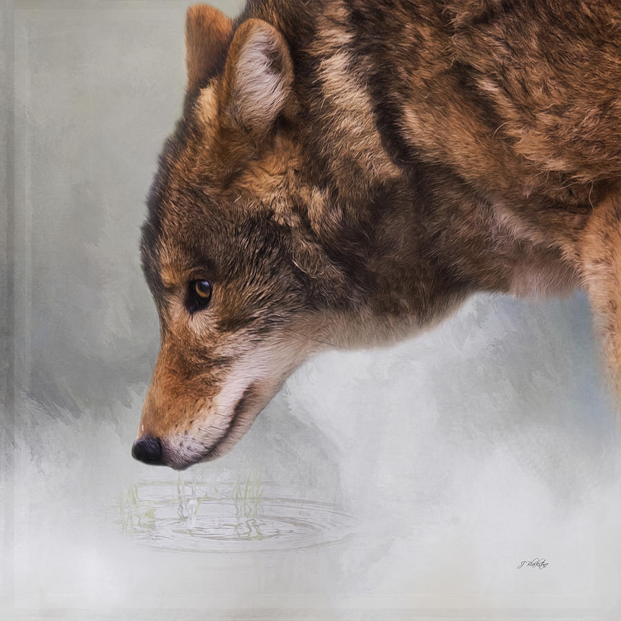 Time To Breathe - Wolf Art Photograph by Jordan Blackstone