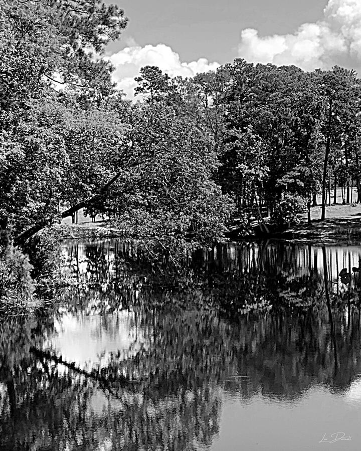 Time to Reflect BW Photograph by Lee Darnell