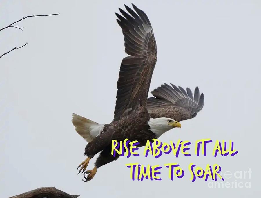 Time To Soar Photograph by Christy Gendalia