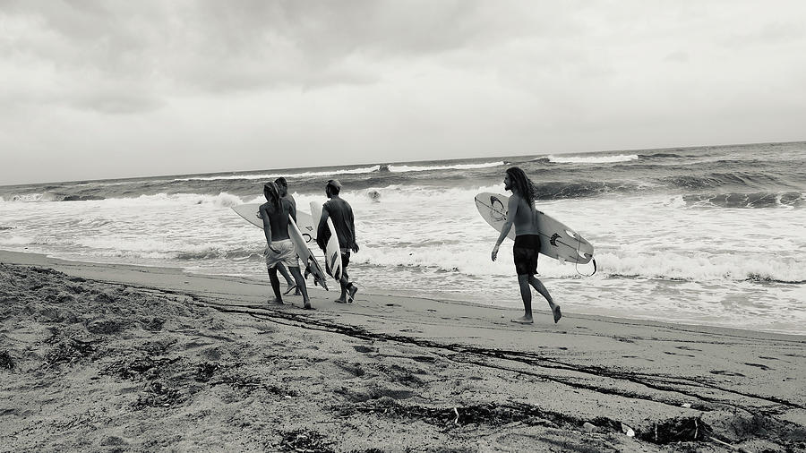 Timeless Photograph by Luz Resto Timeless Photograph by Luz Resto