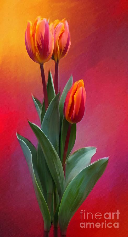 Timeless Tulip Art Digital Art by Lauries Intuitive