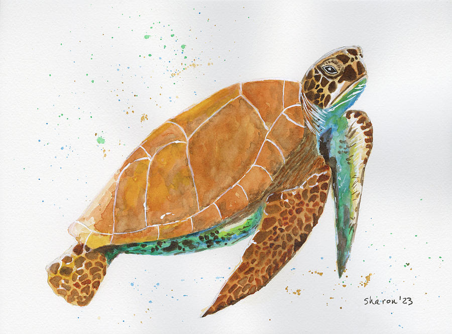 Timmy The Turtle Painting by Sharon SextonBraun - Fine Art America