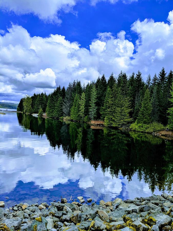 Timothy Lake Photograph by Misty Lewis - Fine Art America