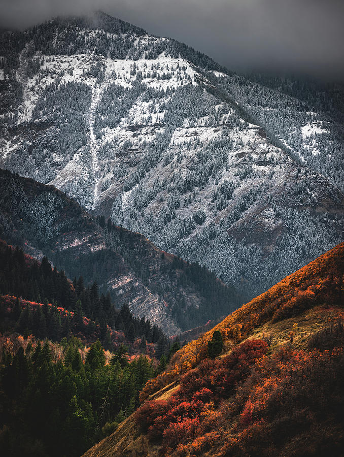 Timpanogos Autumn Snow, Utah - Vertical Photograph by Abbie Matthews