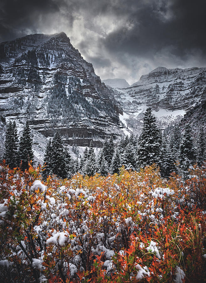 Timpanogos Fire and Ice, Utah - Vertical Photograph by Abbie Matthews