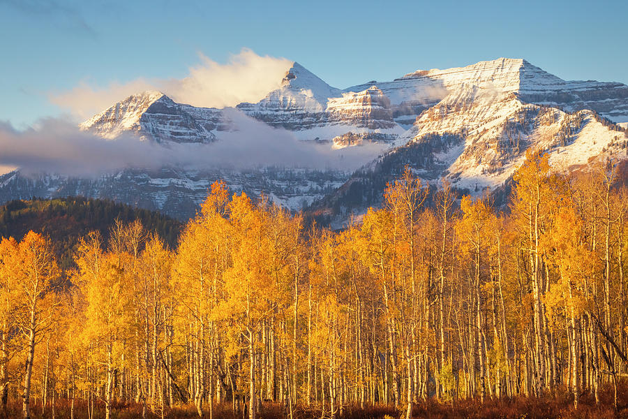 Fall Photograph - Timpanogos First Snow with Golden Aspens by Wasatch Light