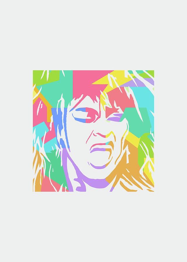 Tina Turner Pop Art Digital Art
