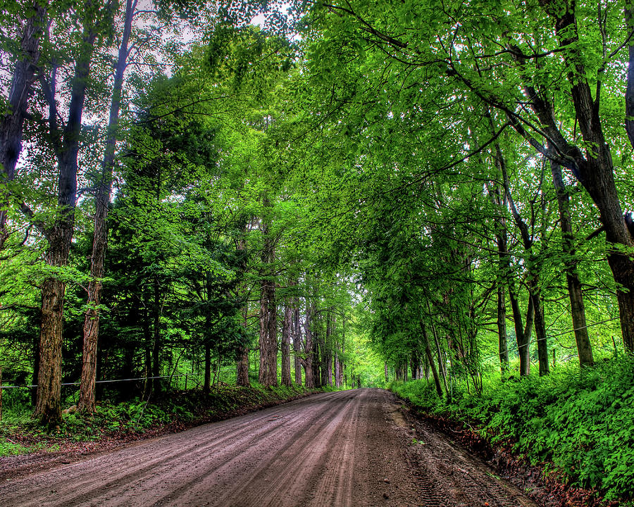 Tinmouth Vermont Photograph by Matthew Lerman Pixels