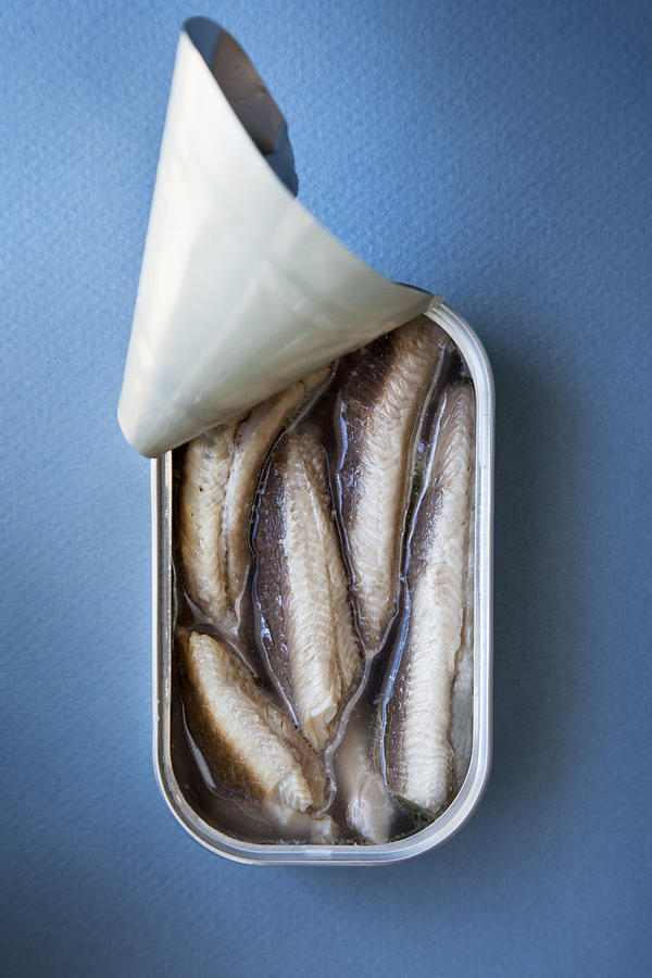 Tinned sardines Photograph by Brad Wenner