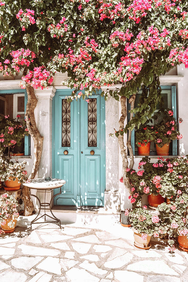 Tinos Street View in Greece with Blue Door and Pink Flowers Photograph ...