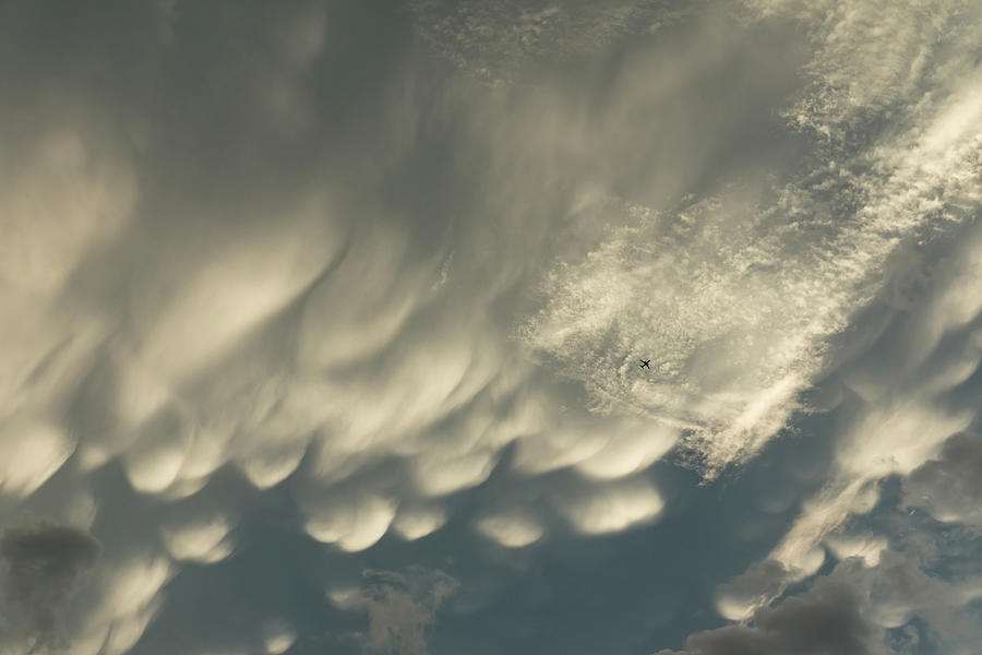 Transportation Photograph - Tiny Airplane Beneath a Huge Mammatus Cloud by Georgia Mizuleva