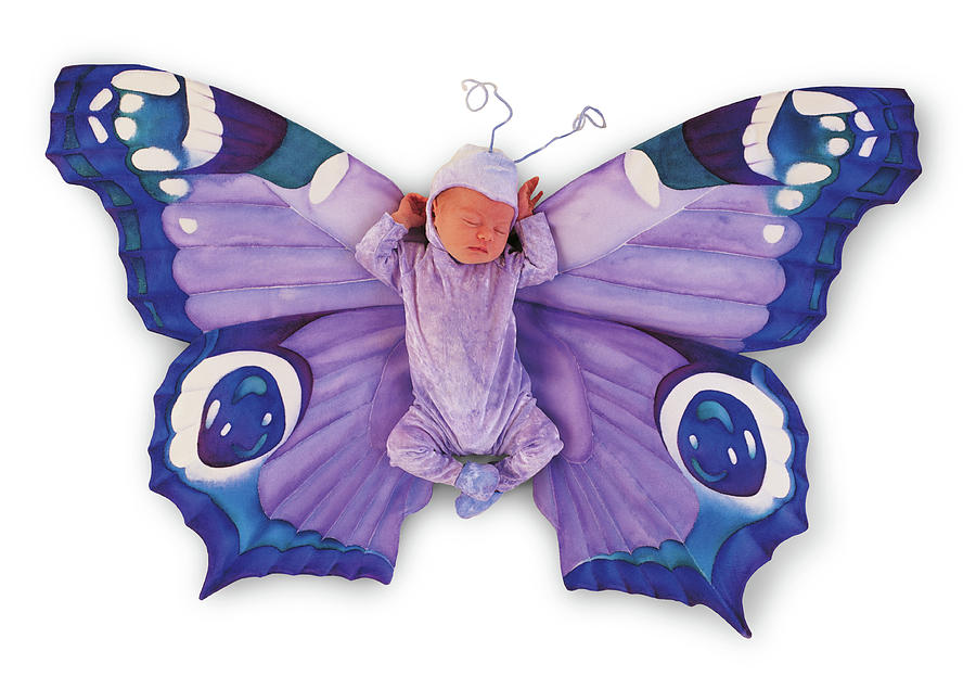 Tiny Butterfly #3 Photograph by Anne Geddes