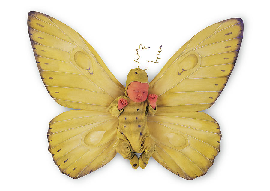 Tiny Butterfly #8 Photograph by Anne Geddes