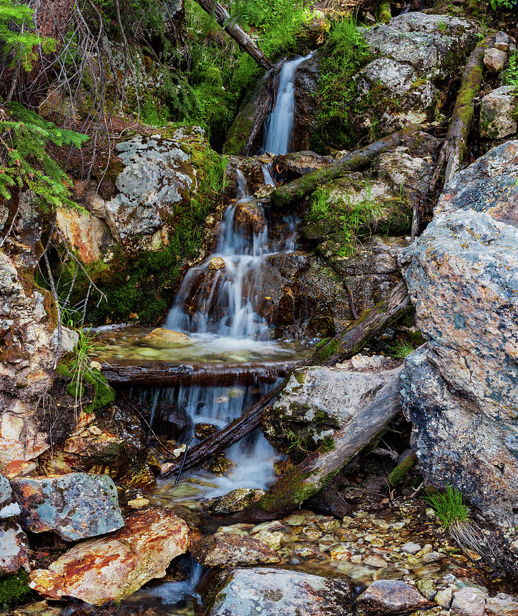 Tiny Falls Photograph by Tom Foolery Life - Fine Art America