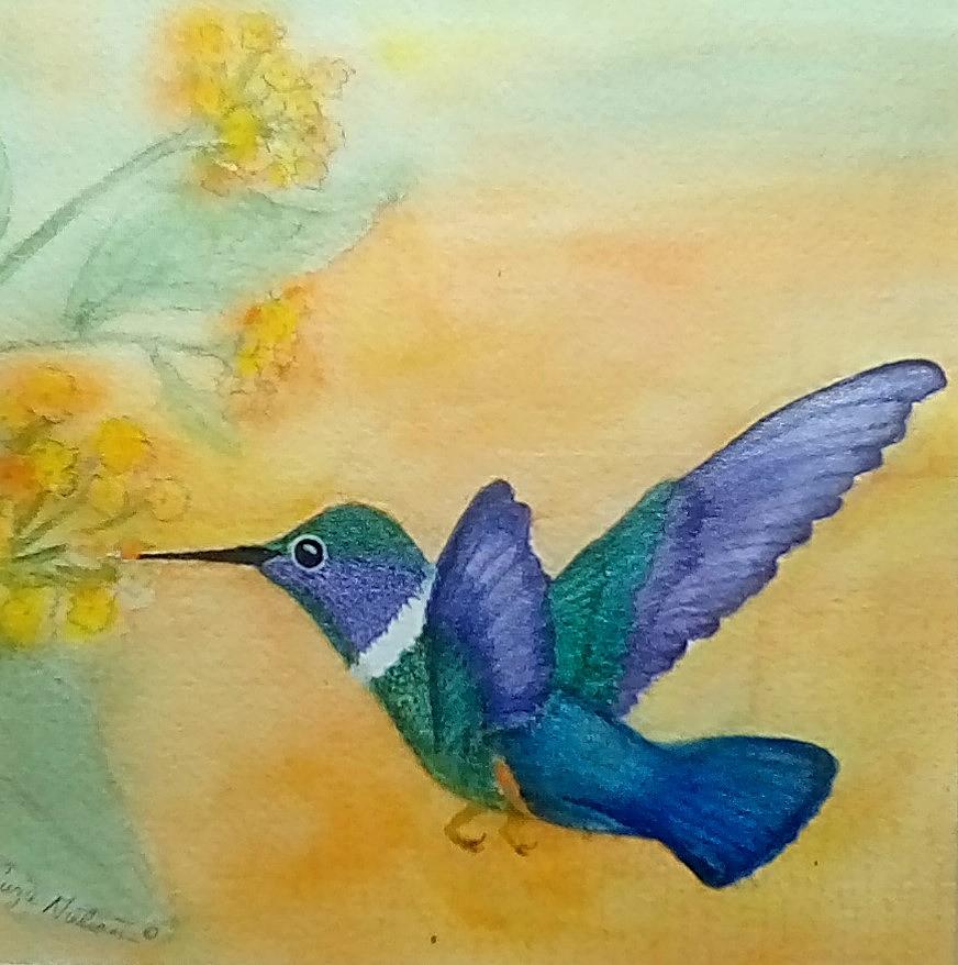  Tiny Hummer Painting by Susan Nielsen