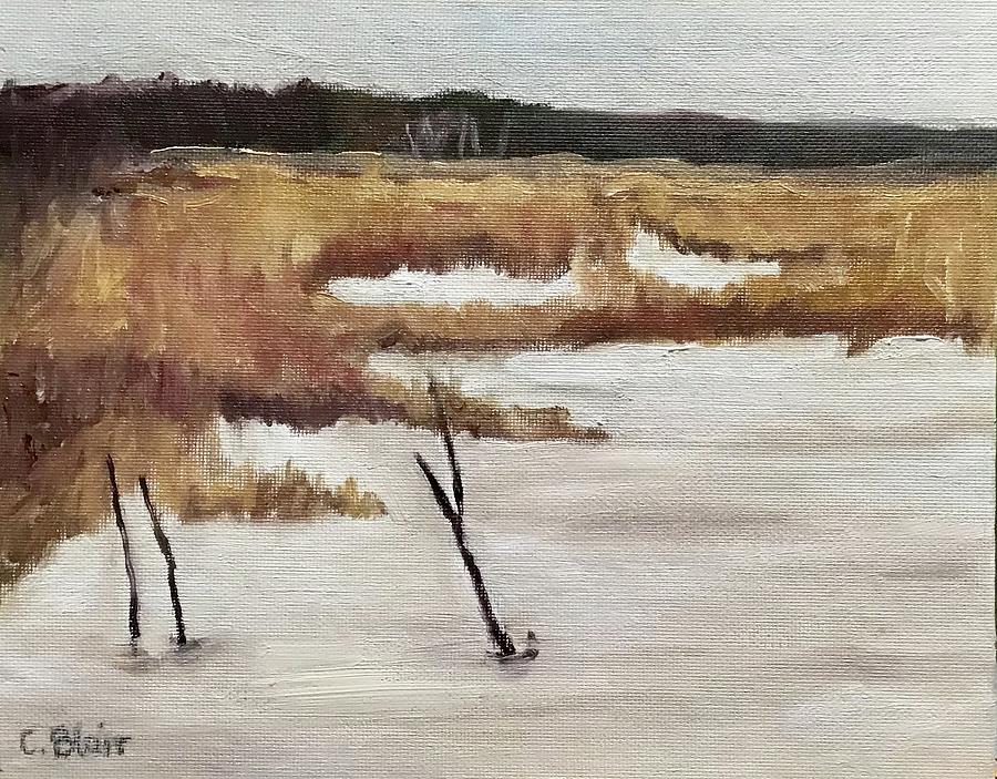 Tiny Marsh Painting by Cynthia Blair