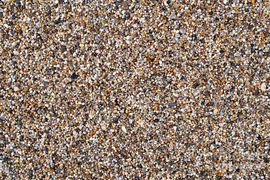Tiny Pebbles Photograph by Tim Gainey