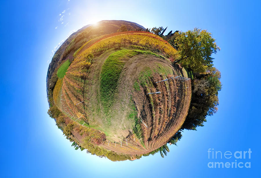 tiny planet of vineyards of Emilia Digital Art by Benny Marty