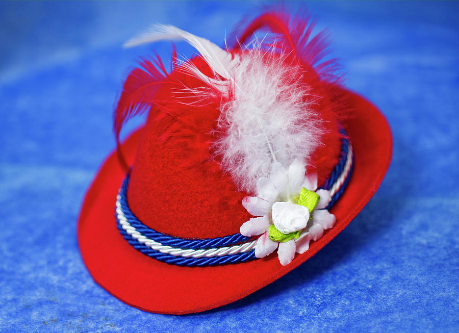 Tiny Red German Hat With Feathers Photograph by Iris Richardson