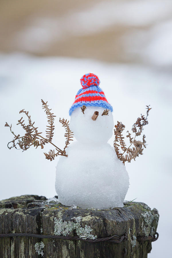 Tiny Snowman with a wooly hat Photograph by Anita Nicholson