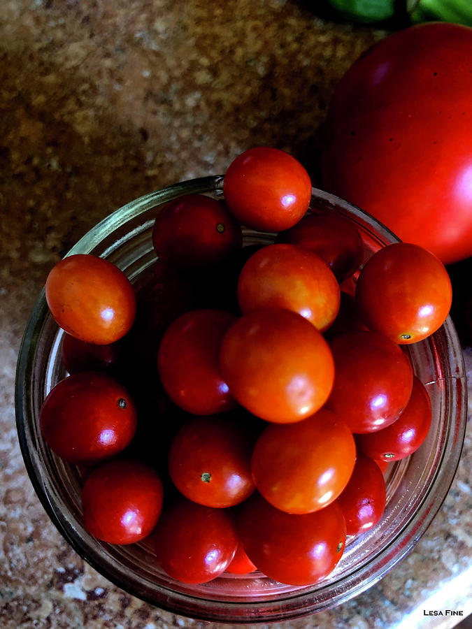 Tiny Tomatoes 2 Photograph by Lesa Fine