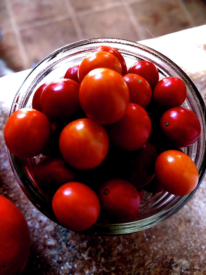 Tiny Tomatoes 3 Photograph by Lesa Fine