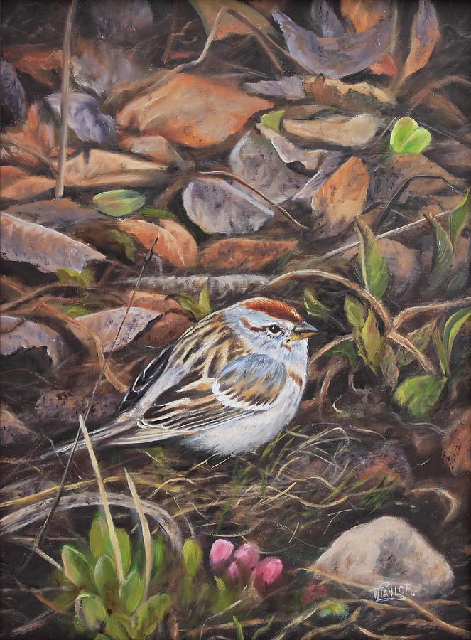 Tiny Treasure- Chipping Sparrow Painting by Tammy Taylor